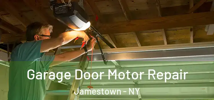  Garage Door Motor Repair Jamestown - NY