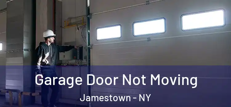  Garage Door Not Moving Jamestown - NY