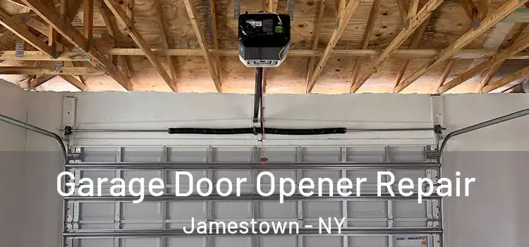  Garage Door Opener Repair Jamestown - NY
