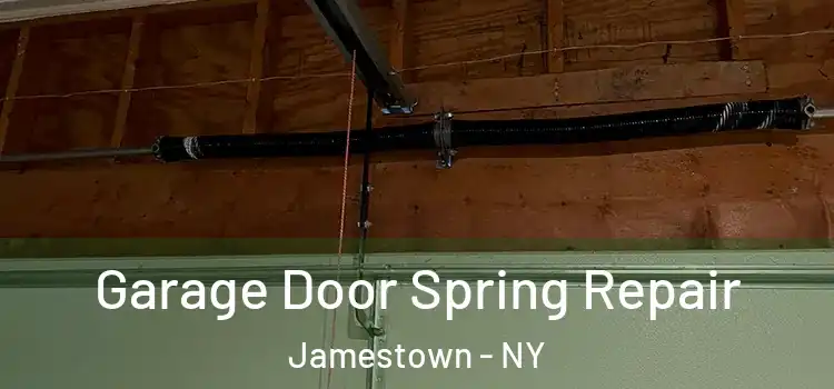  Garage Door Spring Repair Jamestown - NY