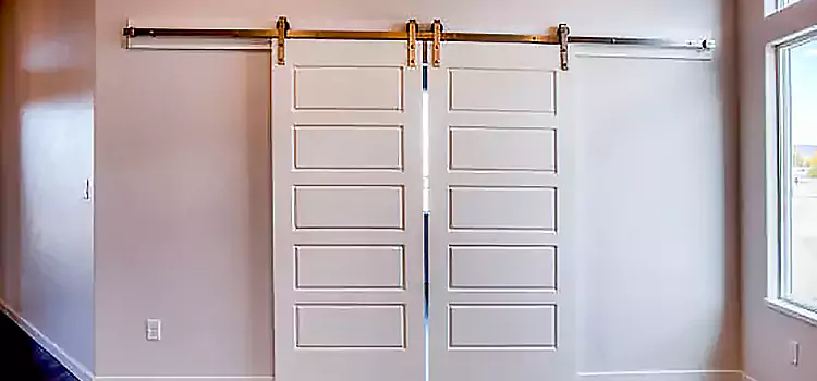 Glass Barn Door with Installation Hardware Kit Jamestown