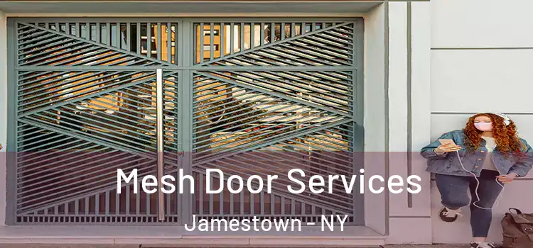 Mesh Door Services Jamestown - NY